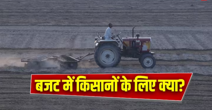Agriculture Budget 2024: बजट में रखा गया कृषि क्षेत्र का ध्यान, किसानों के लिए हुईं ये घोषणाएं